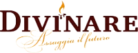 Divinare